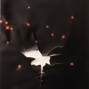 "A-Darter", 2014, ca. 230x127cm, Rocketogram / Color-Photogram, unique