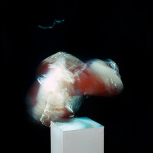 "AIRD no.2", 2012, ca. 120x90cm, C-Print analog, 2+1 AP