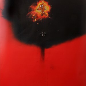 "Absolux", 2014, ca. 230x127cm, Rocketogram / Color-Photogram, unique