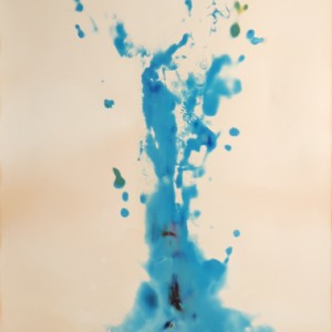 "Aquarius", 2006, ca. 180x130cm, Rocketogram / Color-Photogram, unique