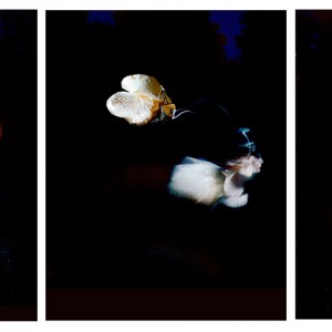 "BOG no.7", 2013, triptych, each ca. 110x90cm, C-Print analog, 2+1 AP