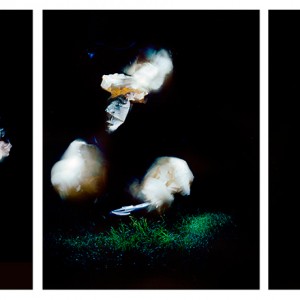 "BOG no.6", 2013, triptych, each ca. 110x90cm, C-Print analog, 2+1 AP