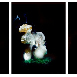 "BOG no.4", 2013, triptych, each ca. 110x90cm, C-Print analog, 2+1 AP