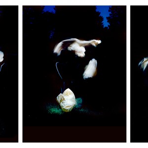 "BOG no.2", 2013, triptych, each ca. 110x90cm, C-Print analog, 2+1 AP