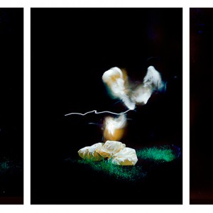 "BOG no.1", 2013, triptych, each ca. 110x90cm, C-Print analog, 2+1 AP