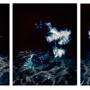 "BOSA no.4", 2013, diptych, each ca. 110x90cm, C-Print analog, 2+1 AP