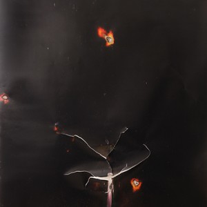 "C-Star", 2014, ca. 230x127cm, Rocketogram / Color-Photogram, unique