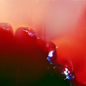 "FBITE no.29", 2013, ca. 70x140cm, photogram on colorfilm/lambdaprint, 2+1 AP