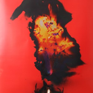 "Fire-Shadow", 2014, ca. 230x127cm, Rocketogram / Color-Photogram, unique