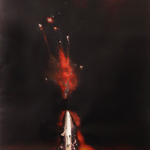 "GAR-11-Nuclear-Falcon", 2014, ca. 230x127cm, Rocketogram / Color-Photogram, unique