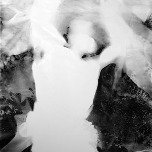 "Jump II / into the void no.2", 2011, ca. 230x127cm, BW - Photogram, unique