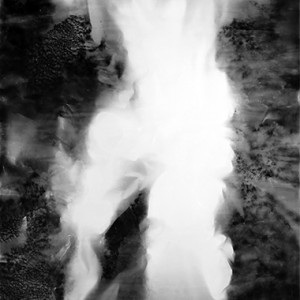 "Jump II / into the void no.5", 2011, ca. 230x127cm, BW - Photogram, unique