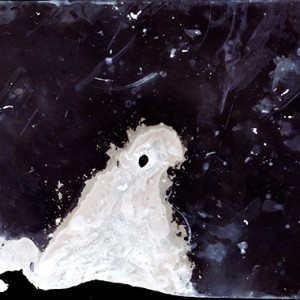 "Albatross", 2013, 180x240cm, Lumino-Fuseogram on 5x7 inch sheet film / C-Print analog, 2+1 AP