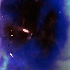 "Sea Star", 2013, 240x180cm, Lumino-Fuseogram on 5x7 inch sheet film / C-Print analog, 2+1 AP