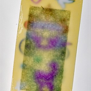 "PFL no.2", 2013, ca. 210x70cm, photogram on colorfilm/C-Print, 2+1 AP
