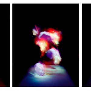 "PL no.9", 2013, triptych je. ca. 110x90cm, C-Print analog, 2+1 AP