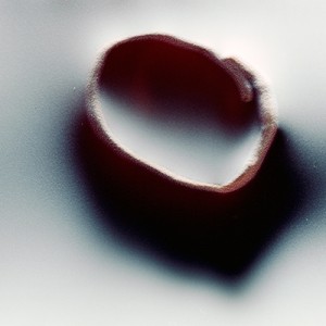 "REL I no.10", 2013, ca. 90x110cm, photogram on colorfilm/C-Print, 2+1 AP