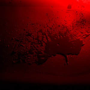 "BOW (The Blood Of Water) no.11", 2013, ca. 90x106cm, C-Print analog, 2+1 AP
