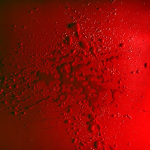 "BOW (The Blood Of Water) no.5", 2013, ca. 90x106cm, C-Print analog, 2+1 AP