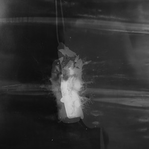 "Acteon", 2012, detail view, BW Photogram, unique