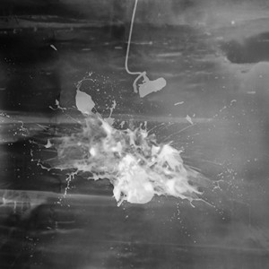 "Flush", 2012, detail view, BW Photogram, unique