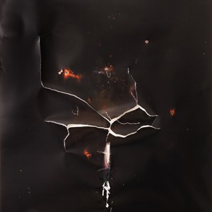 "Sky-Arrow", 2014, ca. 230x127cm, Rocketogram / Color-Photogram, unique