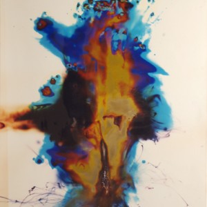 "Rafael Phython", 2006, ca. 180x130cm, Rocketogram / Color-Photogram, unique