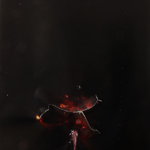 "Stormbringer", 2014, ca. 230x127cm, Rocketogram / Color-Photogram, unique