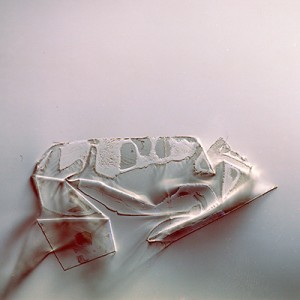 "TSAVI no.21", 2014, ca. 80x120cm, photogram on colorfilm/C-Print, 2+1 AP