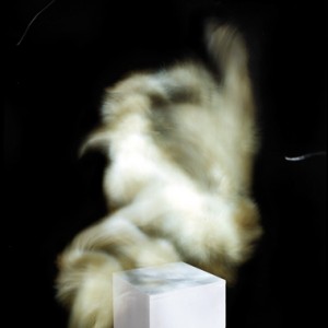 "WF no.10", 2011, ca. 110x90cm, C-Print analog, 2+1 AP