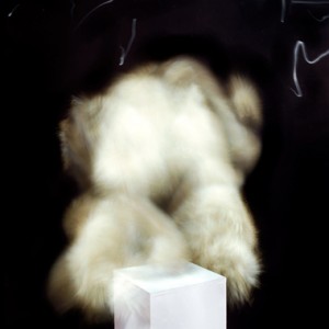 "WF no.11", 2011, ca. 110x90cm, C-Print analog, 2+1 AP