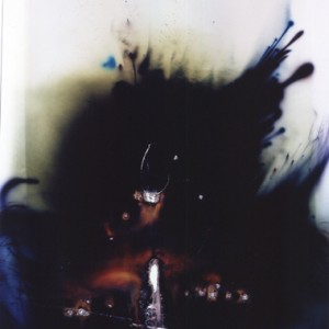 "Wild Horses", 2003, ca.170x106cm, Rocketogram/Colorphotogram, unique