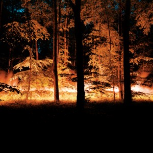 "open fields 1", 2004, ca. 120x150cm, c-print, 2+1AP