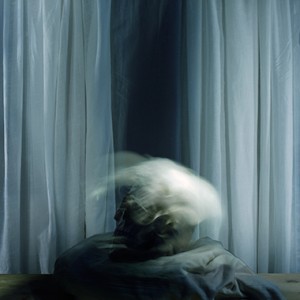 "SSL no.1/after Francis Bacon", 2012, ca. 100x90cm, C-Print analog, 2+1 AP
