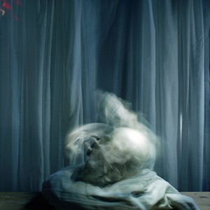 "SSL no.3/after Francis Bacon", 2012, ca. 100x90cm, C-Print analog, 2+1 AP