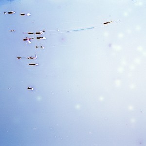 "CC S_3", 2011, ca. 80x88cm, C-Print analog, 2+1 AP