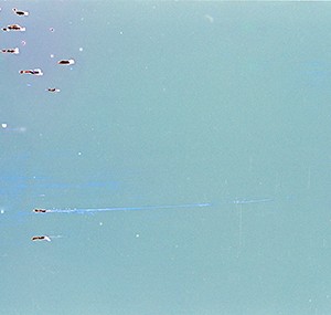 "CC S_8", 2011, ca. 70x112cm, C-Print analog, 2+1 AP