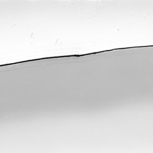 "FCUT no.1", 2013, ca. 70x200cm, photogram on colorfilm/lambdaprint, 2+1 AP