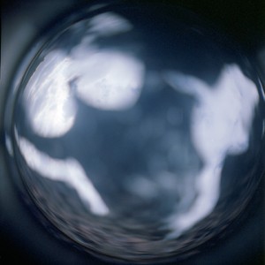 "DL2", 2011, ca. 80x80cm, C-Print analog, 2+1 AP