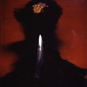 "Fire-Fox", 2003, ca.170x106cm, Rocketogram/Colorphotogram, unique