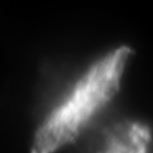 untitled, 2005, ca. 90x110cm, Horseeyeography/Gelatine Silver-Print, 2+1AP