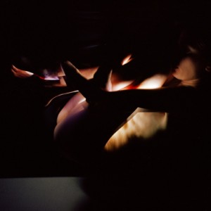 "In Embryo No.1", 2004, ca. 100x120cm, c-print, 2+1AP