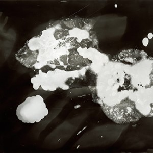 "Blazing Fruits no.1", 2011, ca. 100x140cm, Photogram / Fine Art Print, 1+1 AP