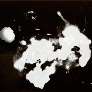 "Blazing Fruits no.3", 2011, ca. 100x140cm, Photogram / Fine Art Print, 1+1 AP