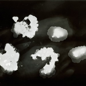 "Blazing Fruits no.4", 2011, ca. 100x140cm, Photogram / Fine Art Print, 1+1 AP