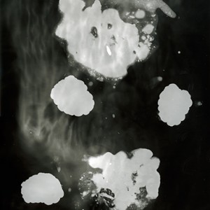 "Blazing Fruits no.7", 2011, ca. 140x100cm, Photogram / Fine Art Print, 1+1 AP