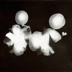 "Blazing Fruits no.8", 2011, ca. 100x140cm, Photogram / Fine Art Print, 1+1 AP