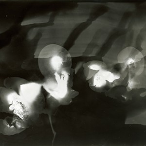 "Blazing Fruits no.10", 2011, ca. 100x140cm, Photogram / Fine Art Print, 1+1 AP