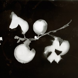 "Blazing Fruits no.15", 2011, ca. 100x140cm, Photogram / Fine Art Print, 1+1 AP