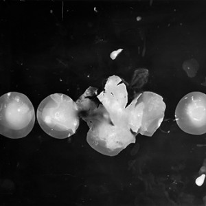 "Blazing Fruits no.17", 2011, ca. 100x140cm, Photogram / Fine Art Print, 1+1 AP